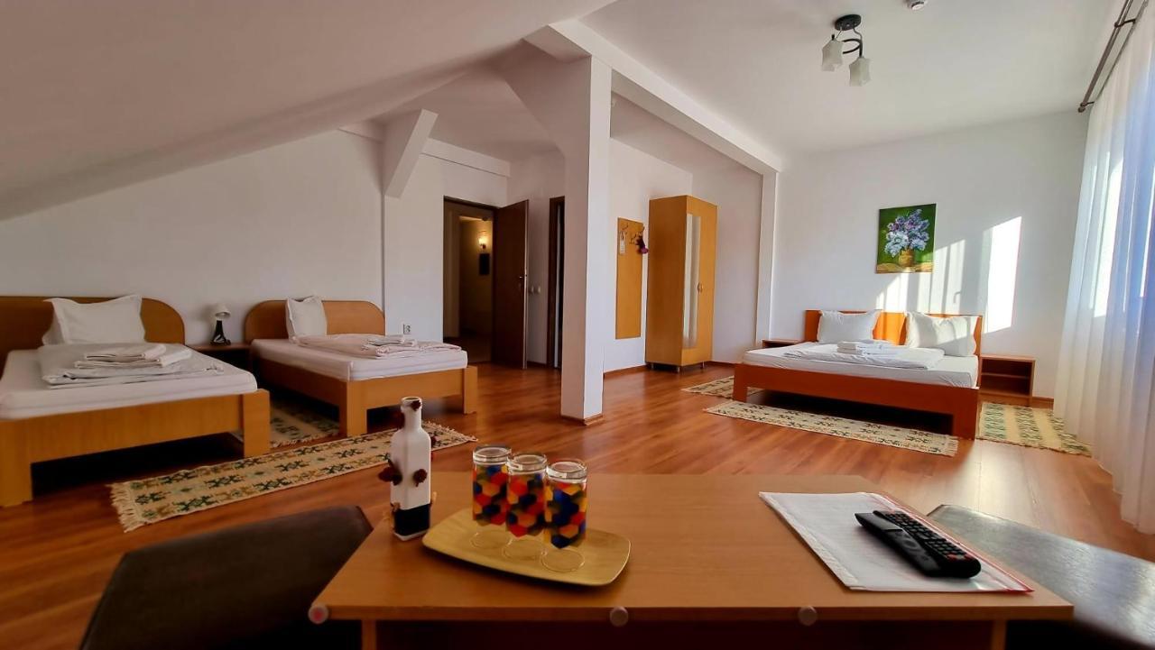 Motel Prislop Hateg Ngoại thất bức ảnh